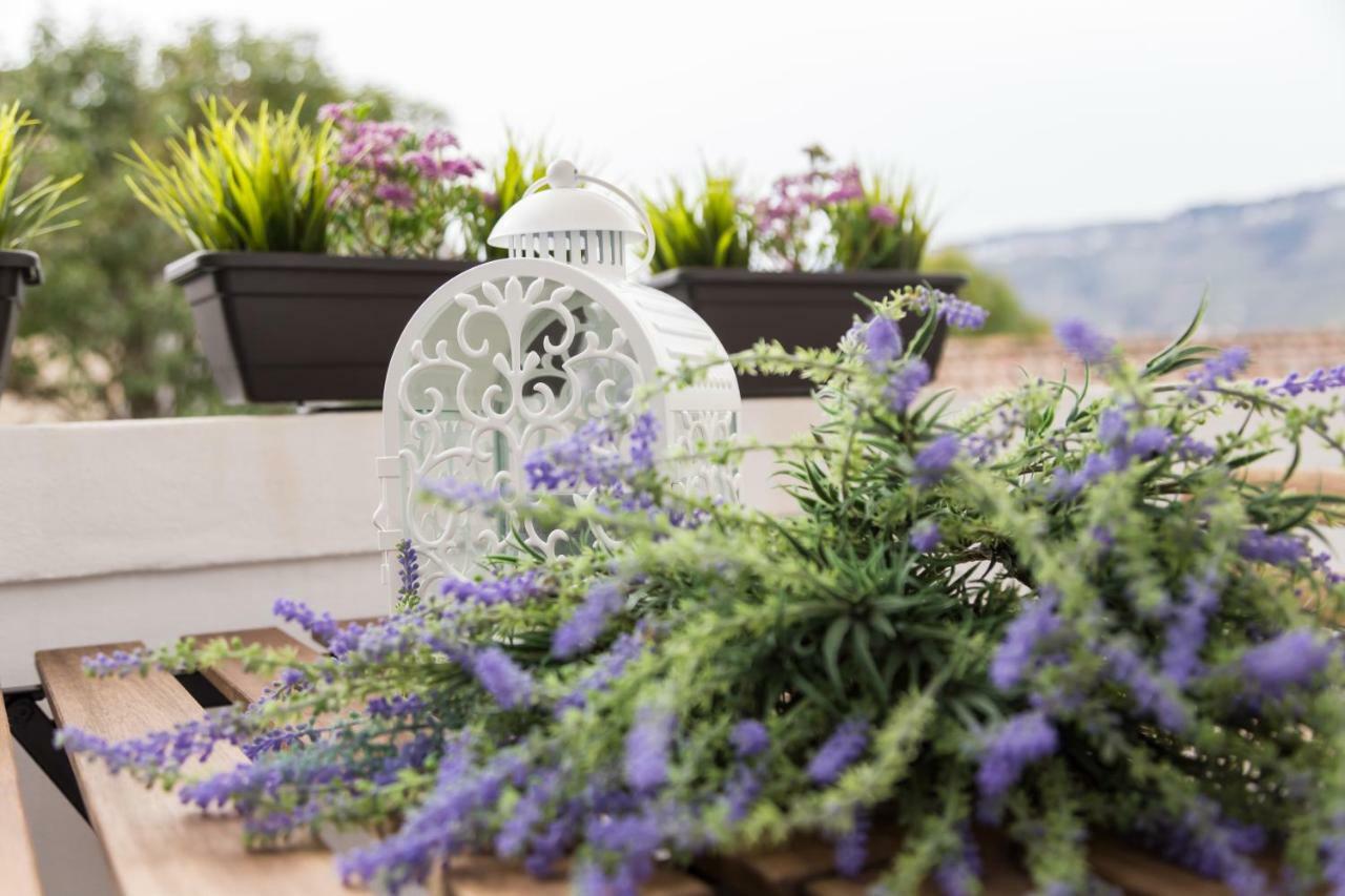 Quinta Da Salada - Local Douro Holiday home *